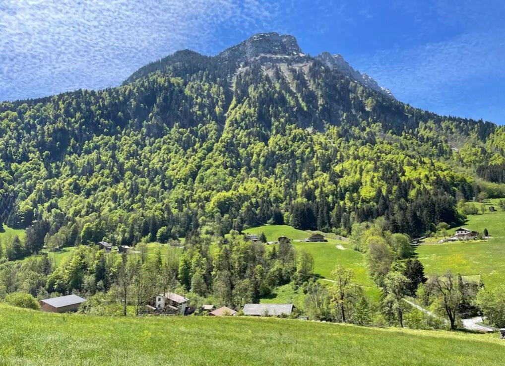 Le Chalet Des Reves - La Roche Blanche Entremont Dış mekan fotoğraf